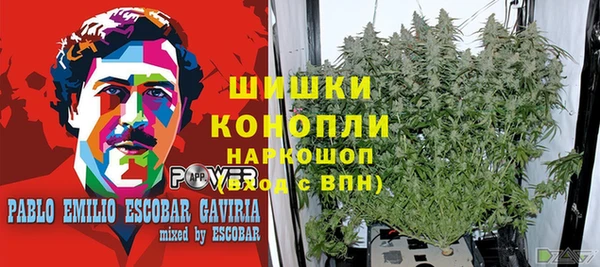 дживик Балахна