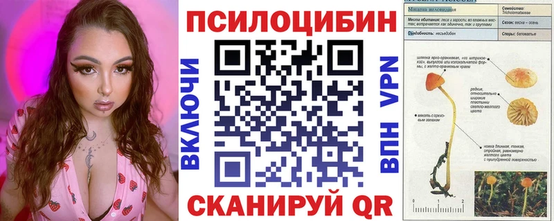 Купить закладки  Нолинск  Галлюциногенные грибы Magic Shrooms 