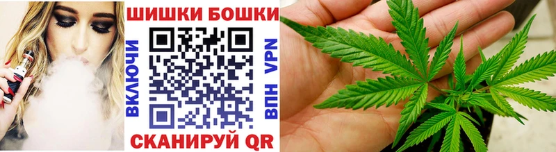 Купить закладки  Нолинск  Конопля AK-47 